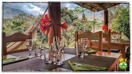Finca Oasis Verde - Our Dining Space