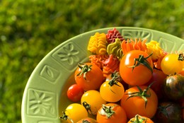 Fresh Vegetables
