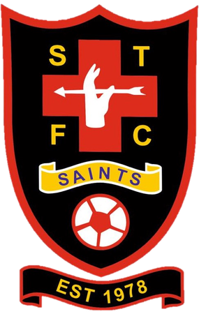 Sandiacre Town Football Club - Logo