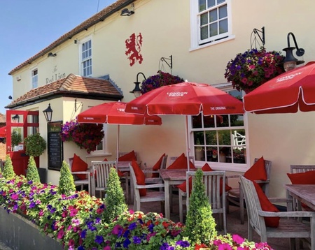 The Red Lion - The Red Lion