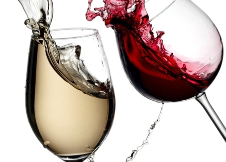 WineSellar & Brasserie - WineSellar & Brasserie