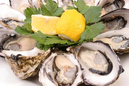 Oysters - Oysters