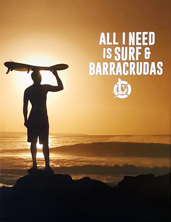 Barracrudas Atlantic - Surf