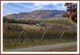Jones von Drehle Vineyards & Winery - Our Winery