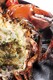 The Palm - Downtown - Jumbo Nova Scotia Lobster