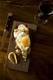 BO-beau kitchen + bar - Ocean Beach - Entree with Egg on Top