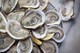 P.J. Clarke's New York Chophouse - Oysters