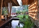 Sacred Rice Bali - Koi Pond