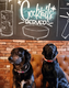 The Caley Sample Room - Dog Friendly Pub
