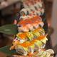 Hibagon Sushi & Grill - Mix sushi platter