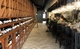 Lush Wine & Spirits - Evanston - 62F Fine Wine Shop